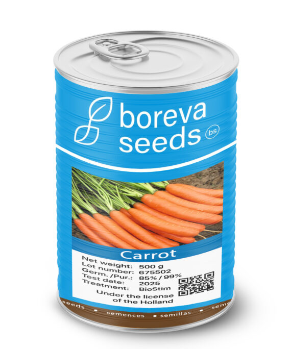 carrot seeds