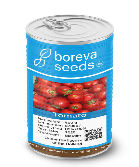 Tomato seeds