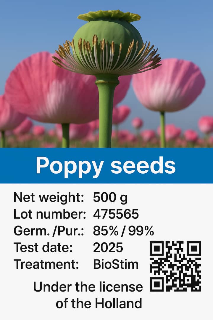 Premium poppy seeds - Image 3